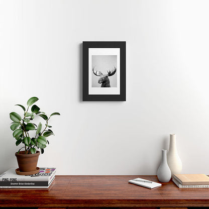 Moose - Black & White Framed Art Print Gallery Image 42