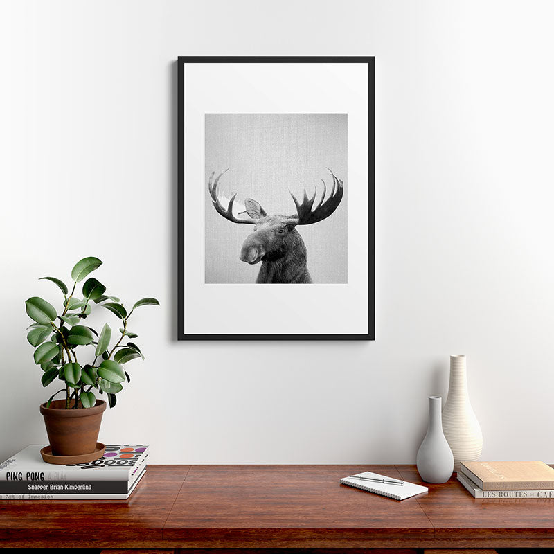 Moose - Black & White Framed Art Print Gallery Image 8