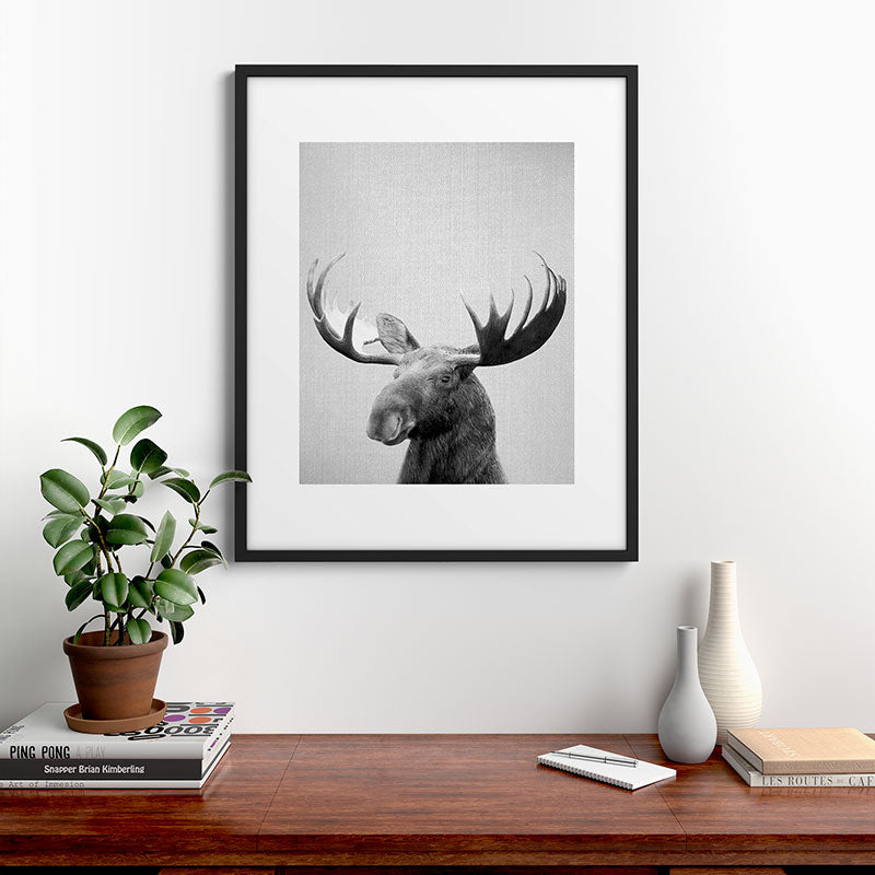 Moose - Black & White Framed Art Print Gallery Image 9
