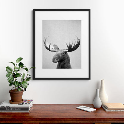 Moose - Black & White Framed Art Print Gallery Image 9