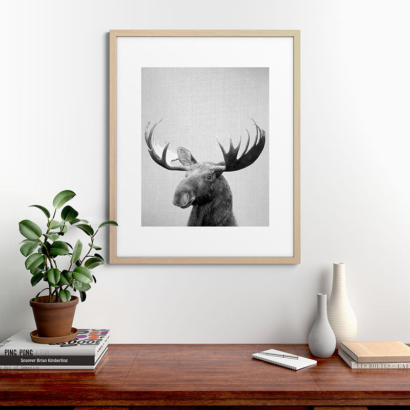 Moose - Black & White Framed Art Print Gallery Image 67