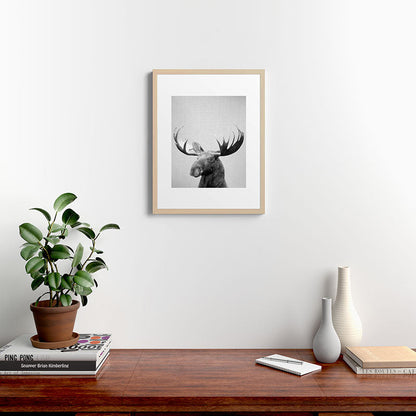 Moose - Black & White Framed Art Print Gallery Image 26