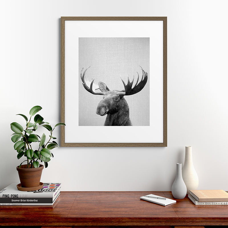 Moose - Black & White Framed Art Print Gallery Image 58