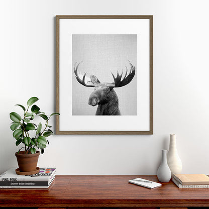 Moose - Black & White Framed Art Print Gallery Image 58