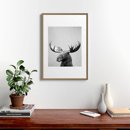 Moose - Black & White Framed Art Print Gallery Image 18