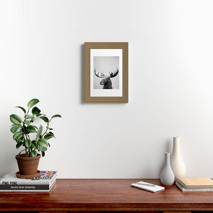 Moose - Black & White Framed Art Print Gallery Image 52