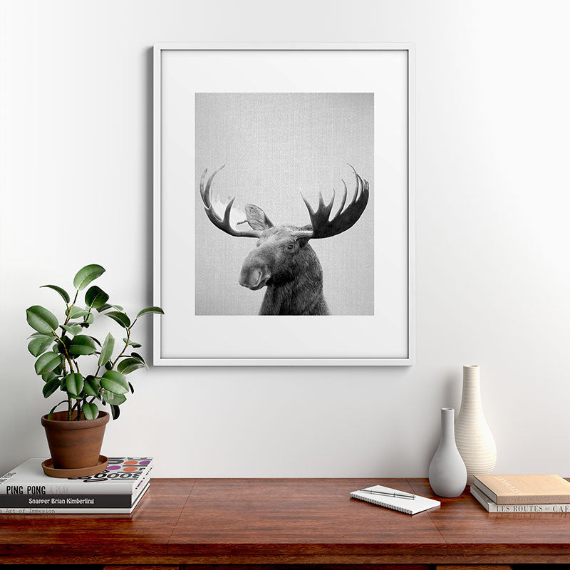 Moose - Black & White Framed Art Print Gallery Image 39
