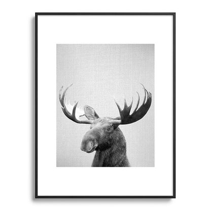 Moose - Black & White Framed Art Print Gallery Image 116