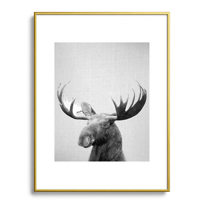 Moose - Black & White Framed Art Print Gallery Image 124