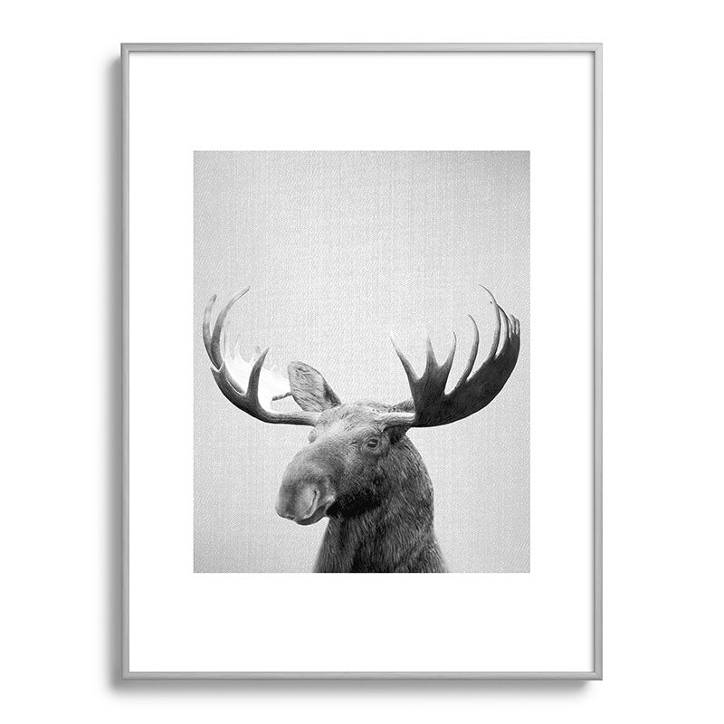 Moose - Black & White Framed Art Print Gallery Image 134