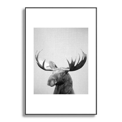Moose - Black & White Framed Art Print Gallery Image 119