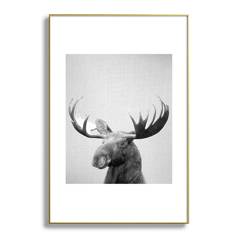 Moose - Black & White Framed Art Print Gallery Image 127