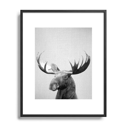 Moose - Black & White Framed Art Print Gallery Image 112