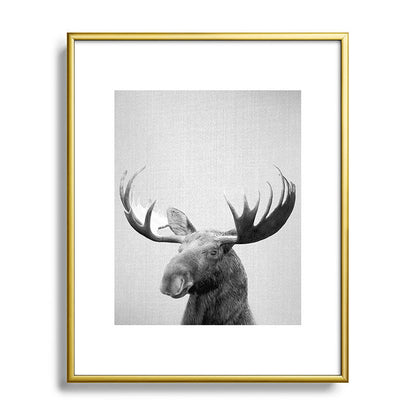 Moose - Black & White Framed Art Print Gallery Image 121