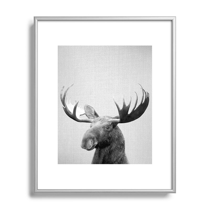 Moose - Black & White Framed Art Print Gallery Image 129