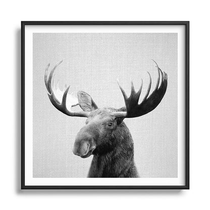 Moose - Black & White Framed Art Print Gallery Image 122