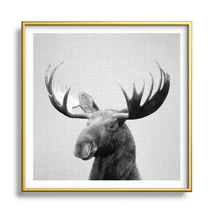 Moose - Black & White Framed Art Print Gallery Image 133