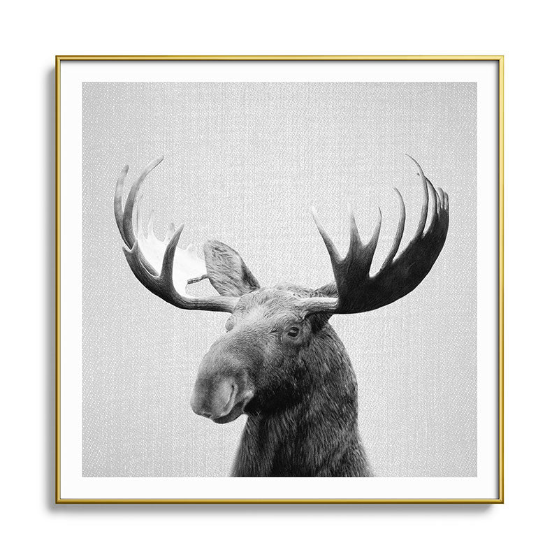Moose - Black & White Framed Art Print Gallery Image 136