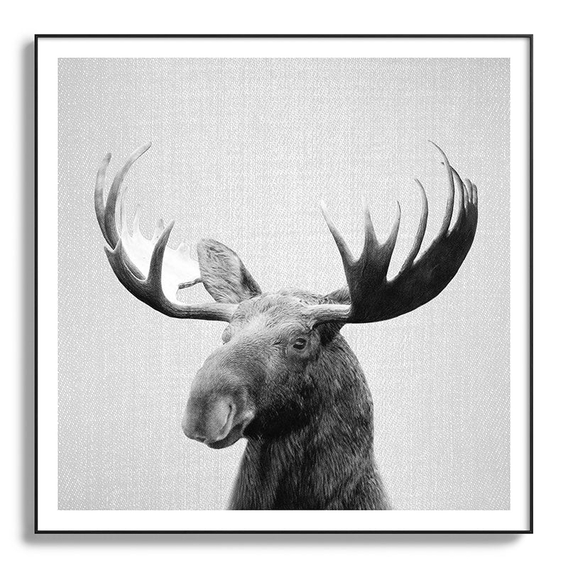 Moose - Black & White Framed Art Print Gallery Image 130