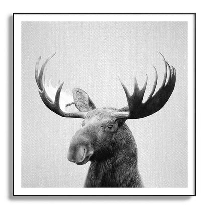 Moose - Black & White Framed Art Print Gallery Image 130