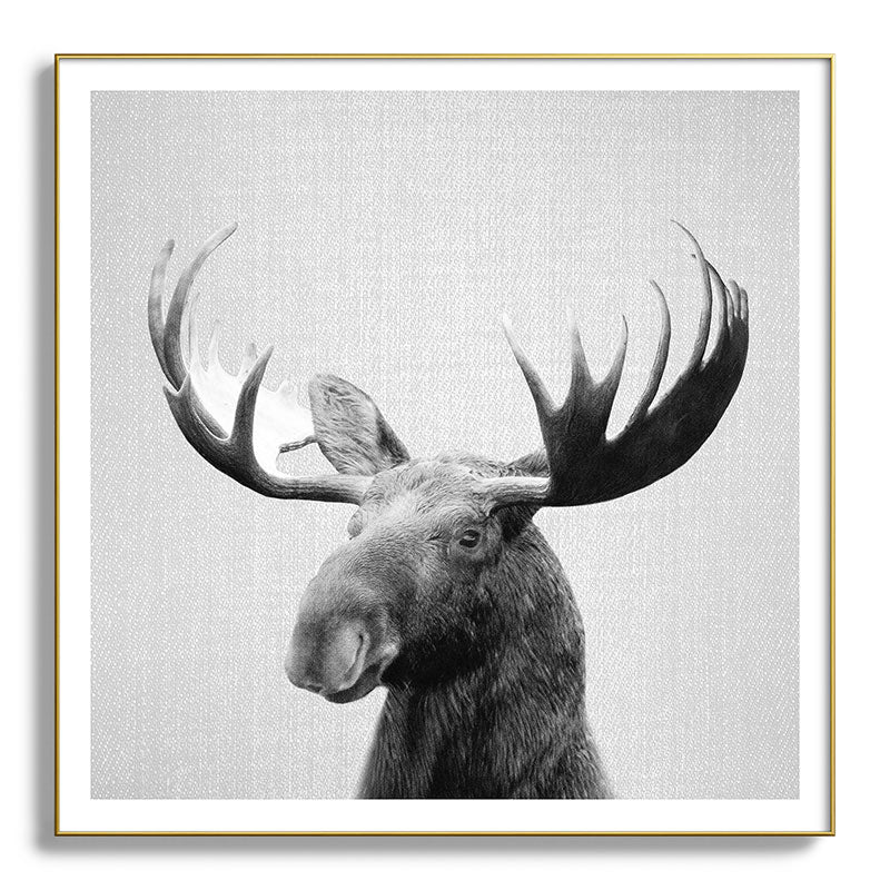 Moose - Black & White Framed Art Print Gallery Image 139