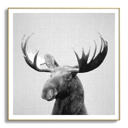 Moose - Black & White Framed Art Print Gallery Image 139