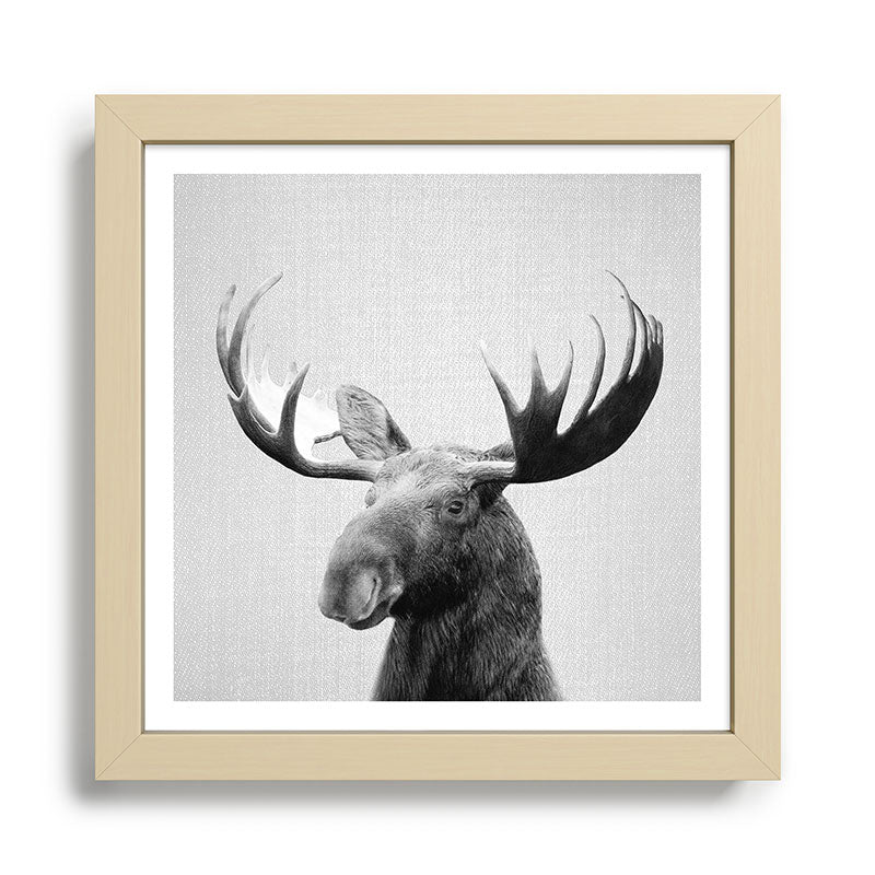 Moose - Black & White Framed Art Print Gallery Image 24