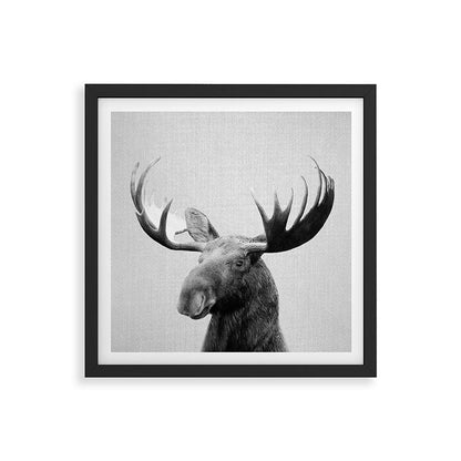 Moose - Black & White Framed Art Print Gallery Image 7