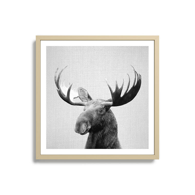 Moose - Black & White Framed Art Print Gallery Image 27