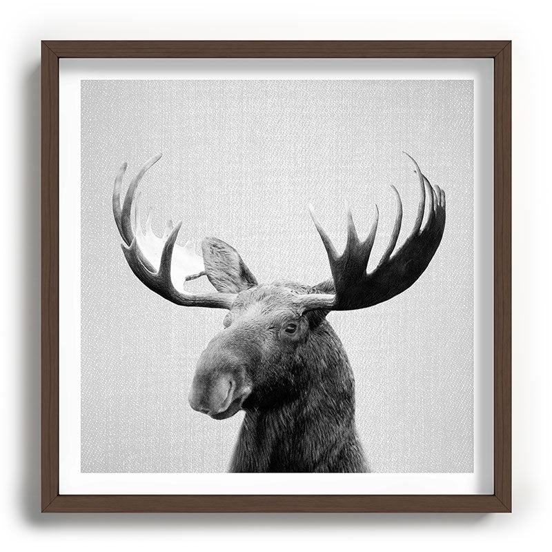 Moose - Black & White Framed Art Print Gallery Image 101