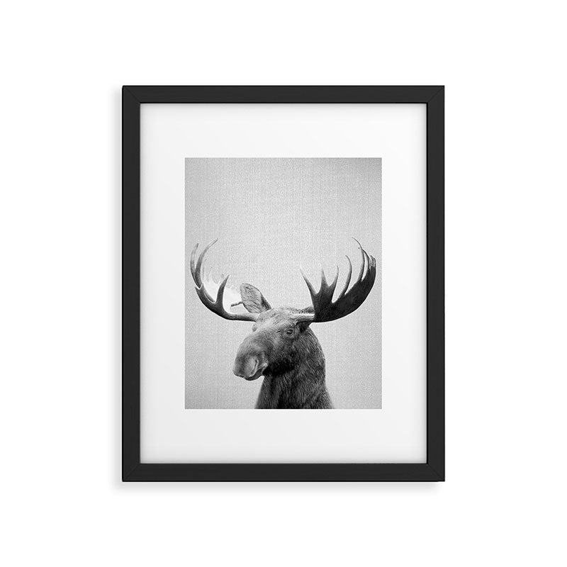 Moose - Black & White Framed Art Print Gallery Image 6