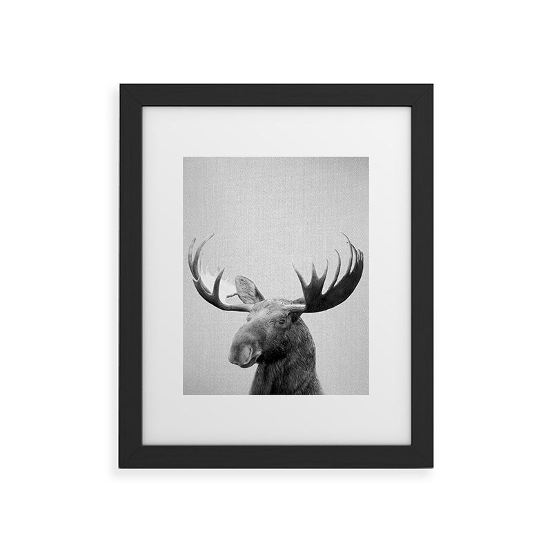 Moose - Black & White Framed Art Print Gallery Image 47
