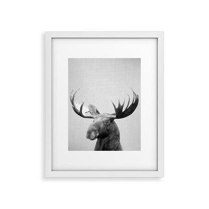Moose - Black & White Framed Art Print Gallery Image 31