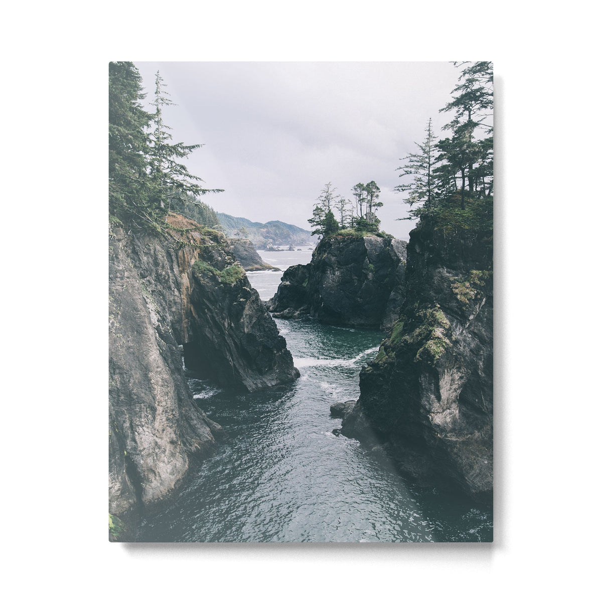 Samuel H. Boardman Metal Print Gallery Image 1