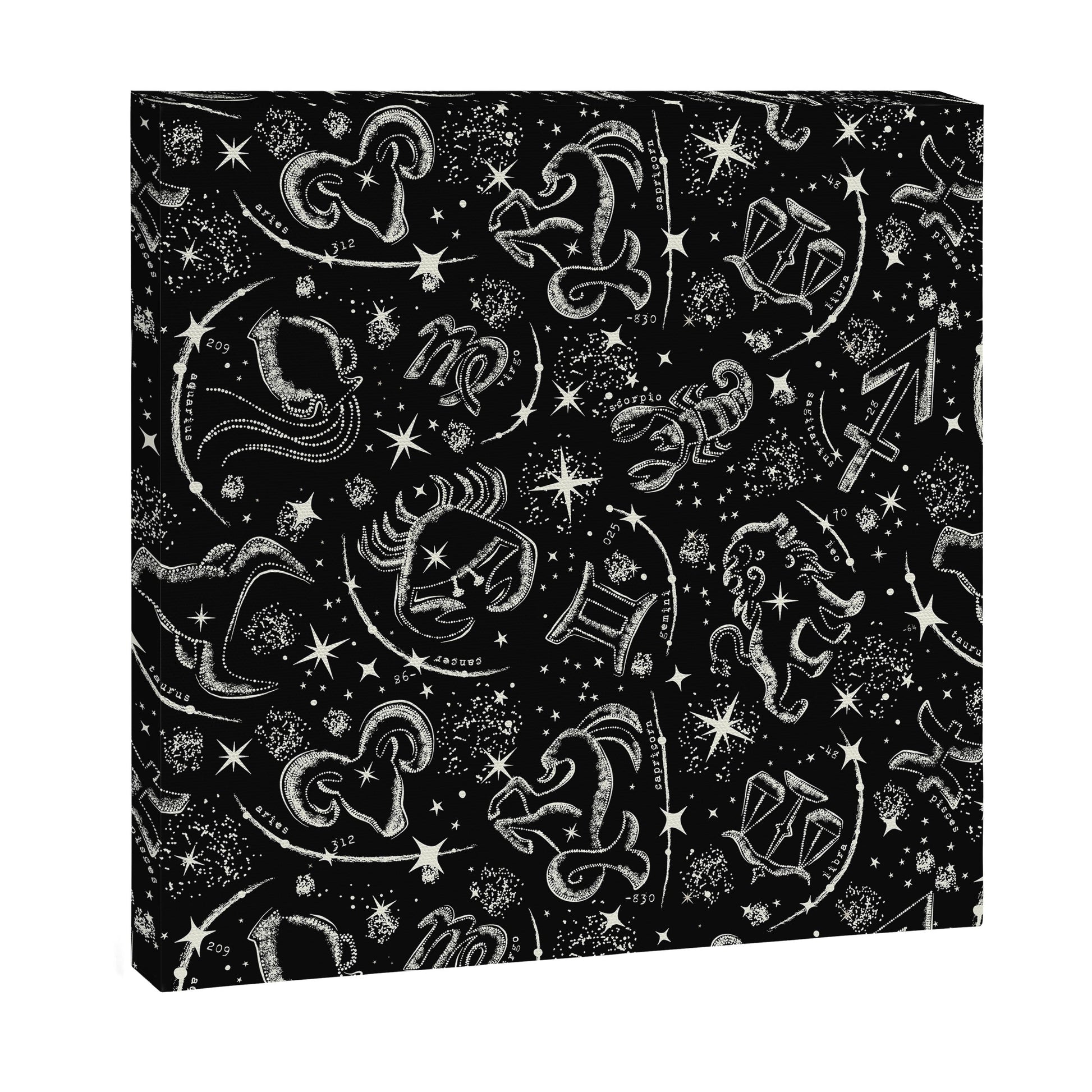 Star Child Canvas Print Gallery Image 2