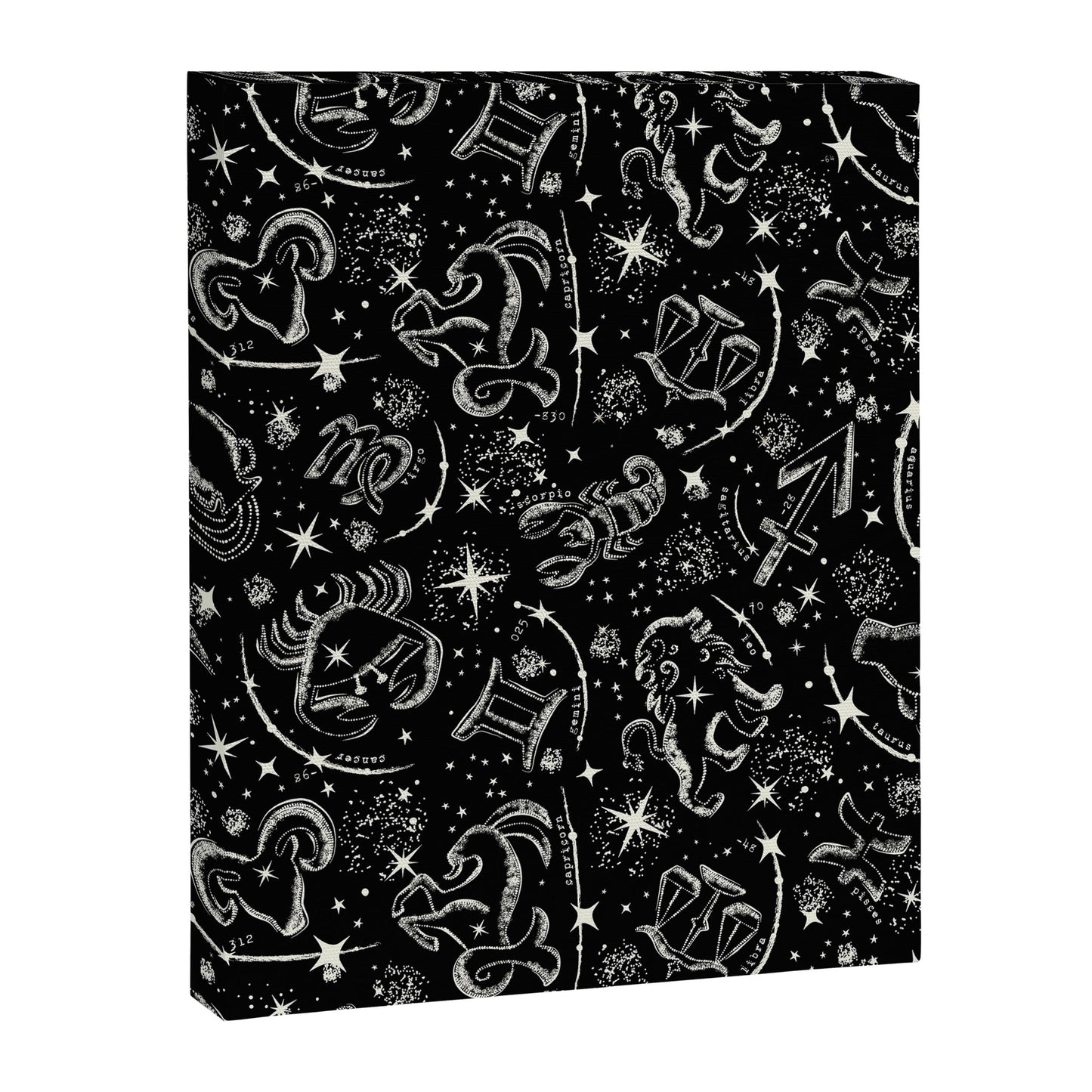 Star Child Canvas Print Gallery Image 5