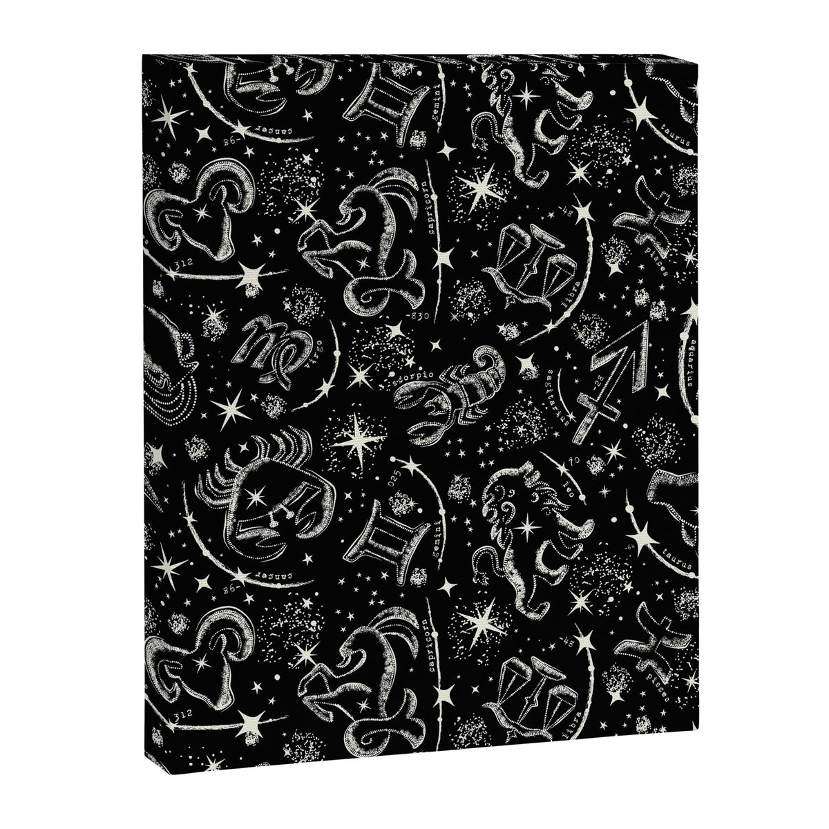 Star Child Canvas Print Gallery Image 1
