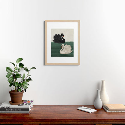 Black Swan White Swan Framed Art Print Gallery Image 27