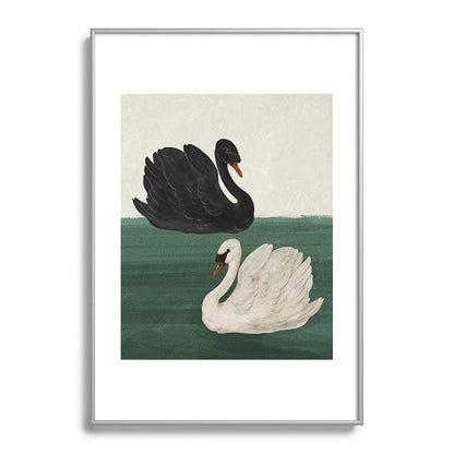 Black Swan White Swan Framed Art Print Gallery Image 58