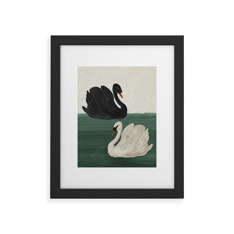 Black Swan White Swan Framed Art Print Gallery Image 18