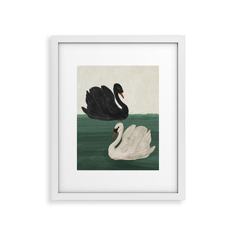 Black Swan White Swan Framed Art Print Gallery Image 13