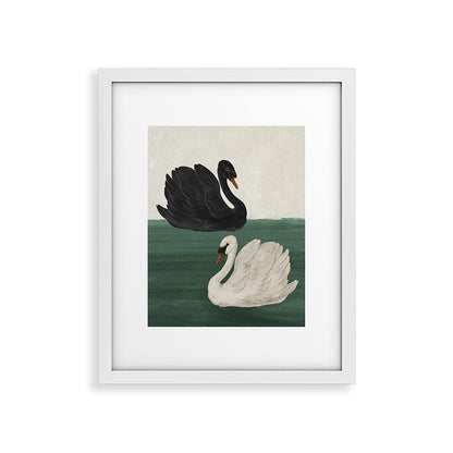 Black Swan White Swan Framed Art Print Gallery Image 13