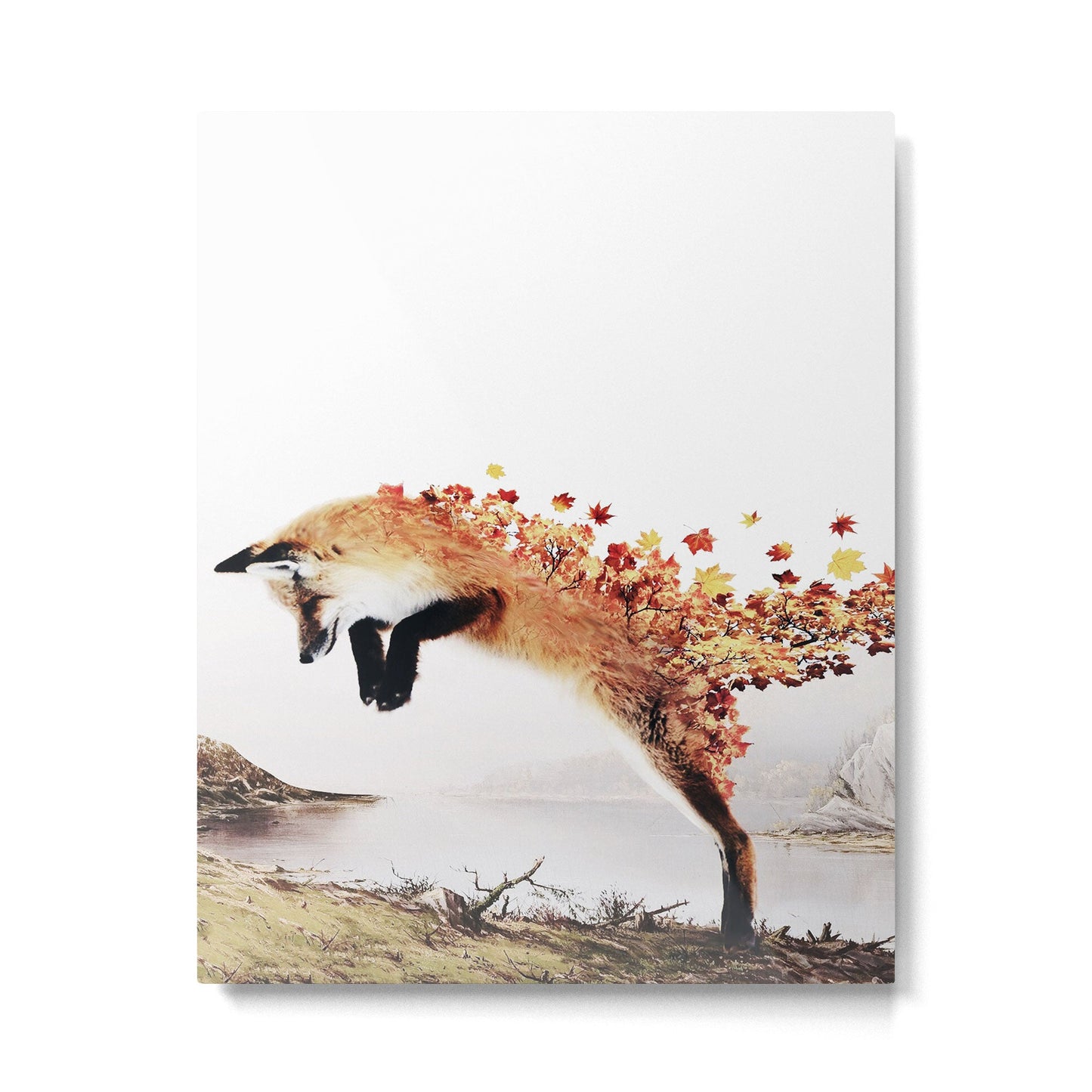 Autumn Fox Metal Print Gallery Image 3