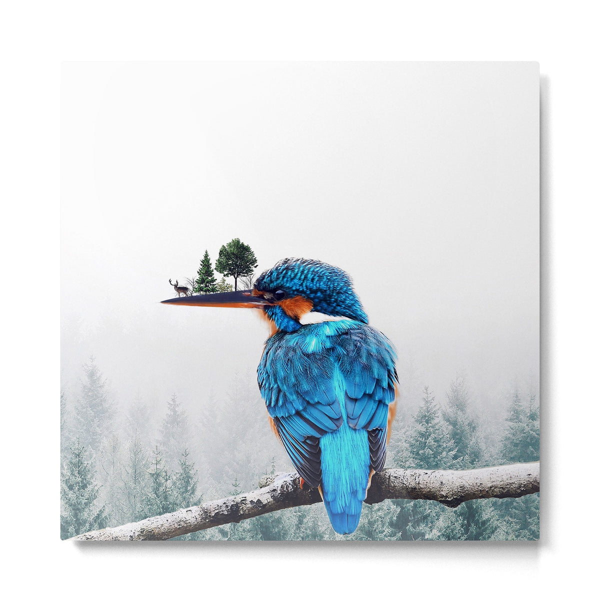 Symbiosis Metal Print Gallery Image 2