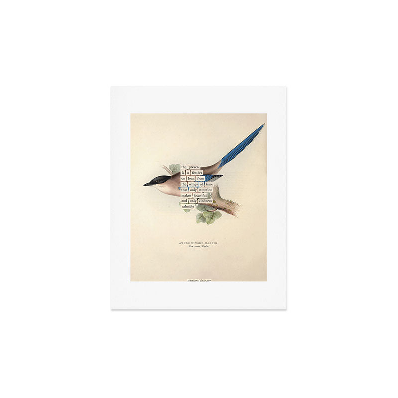 Bird Divinations: Azure Magpie (about: almanacofbirds.org) Art Print Gallery Image 3