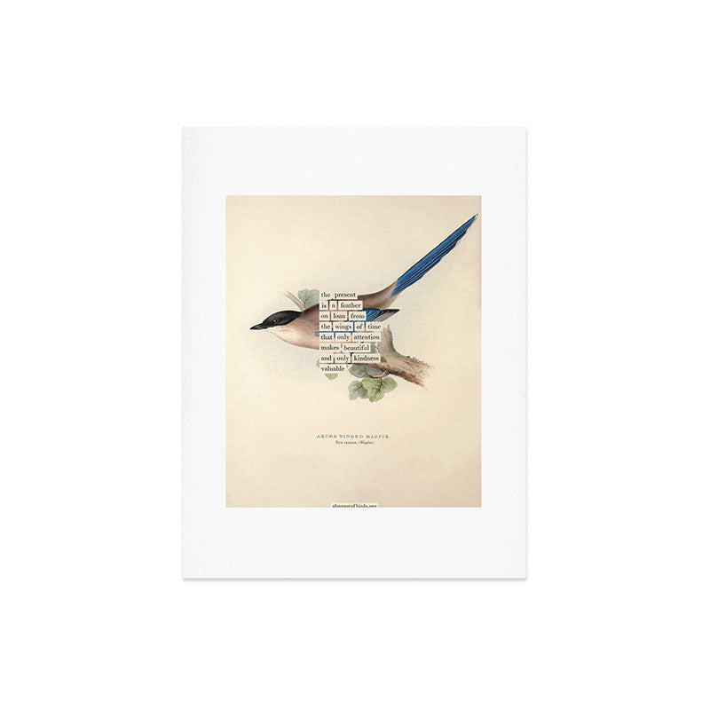 Bird Divinations: Azure Magpie (about: almanacofbirds.org) Art Print Gallery Image 6
