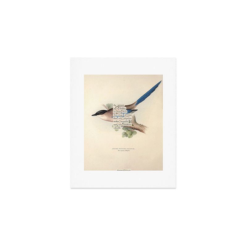 Bird Divinations: Azure Magpie (about: almanacofbirds.org) Art Print Gallery Image 1