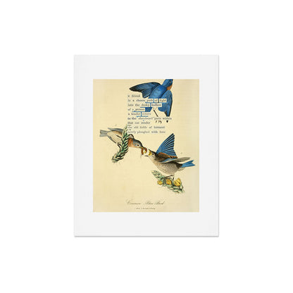 Bird Divinations: Blue Bird (about: almanacofbirds.org) Art Print Gallery Image 4