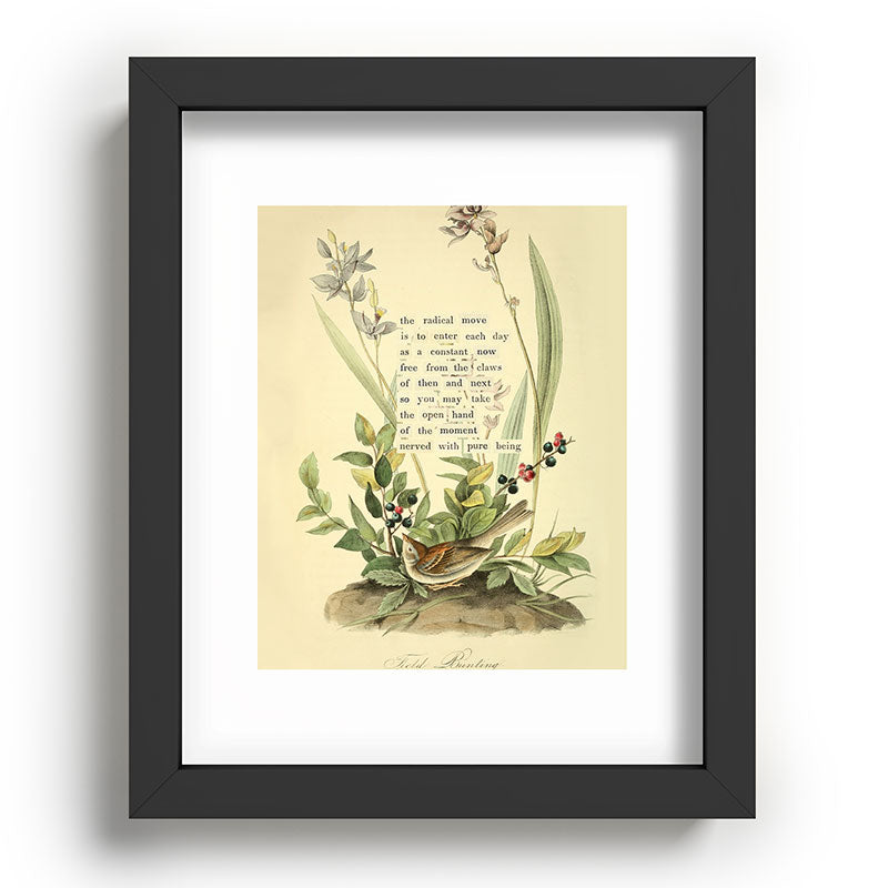 Bird Divinations: Field Bunting (about: almanacofbirds.org) Framed Art Print Gallery Image 58