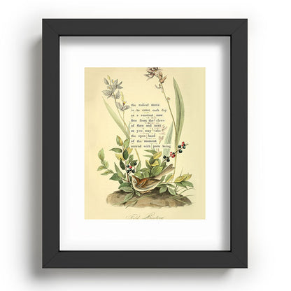 Bird Divinations: Field Bunting (about: almanacofbirds.org) Framed Art Print Gallery Image 58